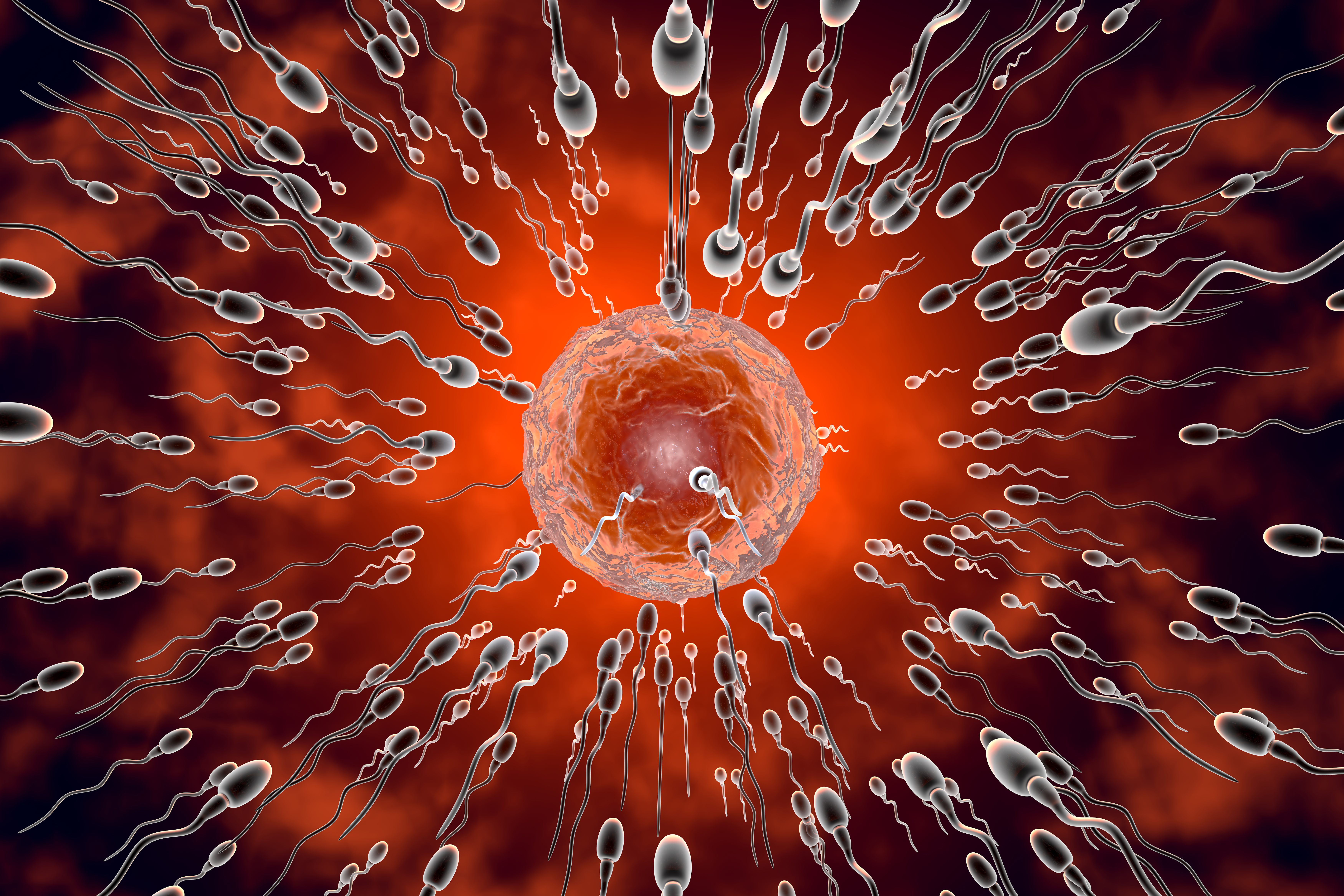 Coming soon:  The world’s first sperm race – with live commentary, stadium screens, and a serious message